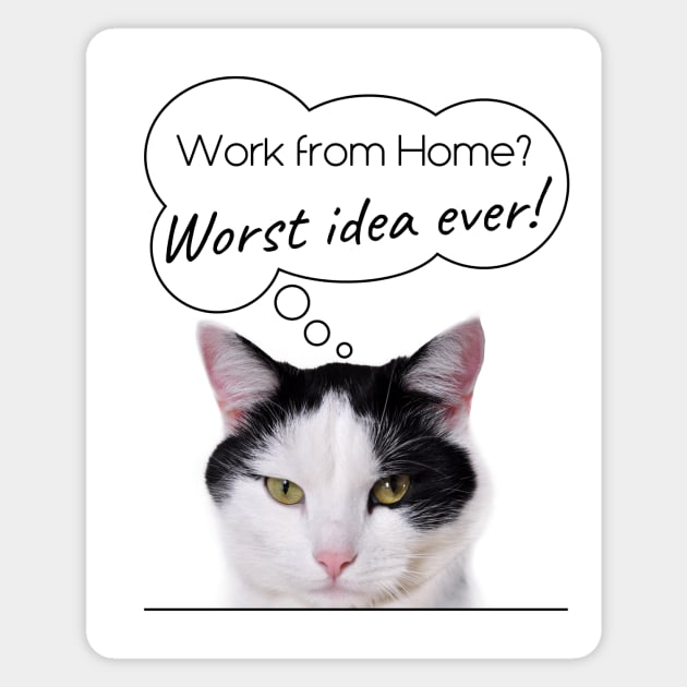 Funny Moody Cat Humor: Work from Home? Worst Idea Ever! Magnet by Destination Christian Faith Designs